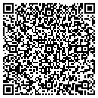 QR-код с контактной информацией организации СТЭФ, ОАО