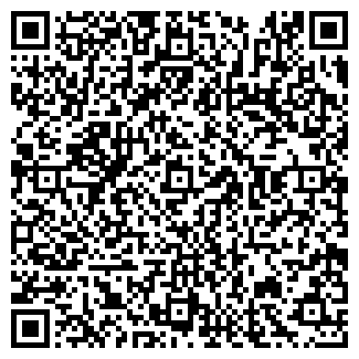 QR-код с контактной информацией организации IBIZA