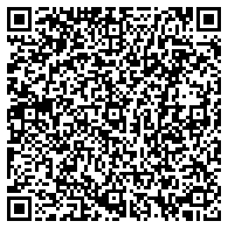 QR-код с контактной информацией организации ДИН+, ООО