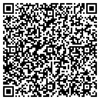 QR-код с контактной информацией организации ВЕЗДЕХОД, ООО