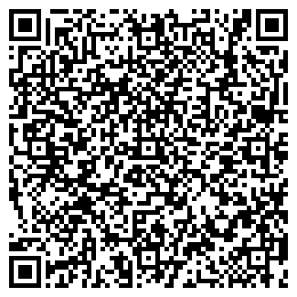 QR-код с контактной информацией организации ВЕССЕЛ, ООО