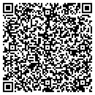 QR-код с контактной информацией организации ООО СИДДХИ-Н