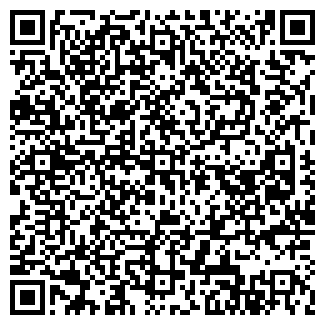 QR-код с контактной информацией организации ЧП ТЕПЛЯКОВ В.В.