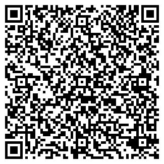 QR-код с контактной информацией организации WWW.SATORSK.RU