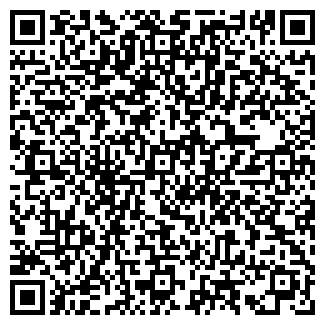 QR-код с контактной информацией организации ОАО ФАБРИКА ИГРУШЕК