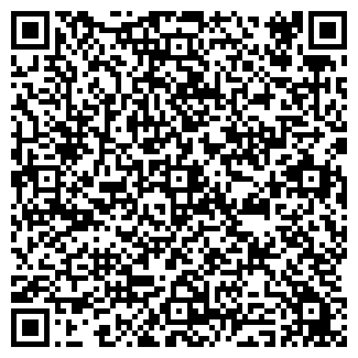 QR-код с контактной информацией организации ИЗМАЙЛОВ, ЧП