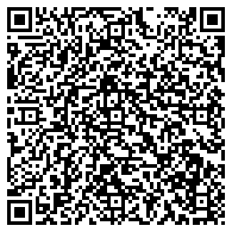 QR-код с контактной информацией организации ИП МИШИНЕВА И.В.