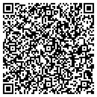 QR-код с контактной информацией организации КОРОЛЕВ В.Ю., ИП