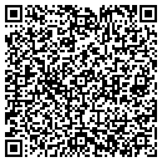 QR-код с контактной информацией организации ПЕТЕЛИН В.Н., ЧП