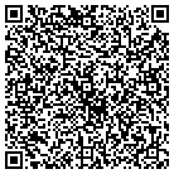 QR-код с контактной информацией организации СИСТЕМНЕФТЕАВТОМАТИКА, ЗАО