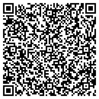 QR-код с контактной информацией организации ШАБУНИН, ИП