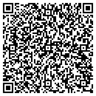 QR-код с контактной информацией организации НАЧИНКИН, ИП