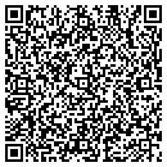QR-код с контактной информацией организации ООО ТЕХНОИМПЕКС