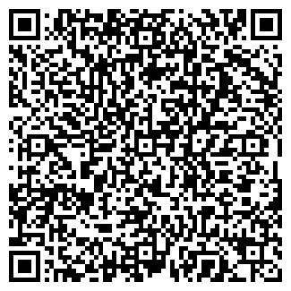 QR-код с контактной информацией организации ДЭФО-ПЕРМЬ, ООО