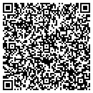 QR-код с контактной информацией организации ВЭЛСИ, ООО