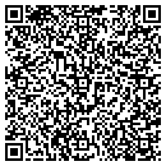 QR-код с контактной информацией организации ВИДЕО ОЛА