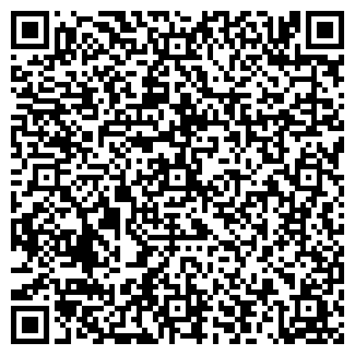 QR-код с контактной информацией организации ПЛАЗМА.RU, ООО