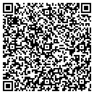 QR-код с контактной информацией организации САРФИ, ООО