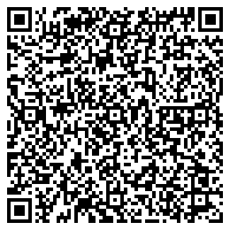 QR-код с контактной информацией организации ДЕЛО ПТК, ООО