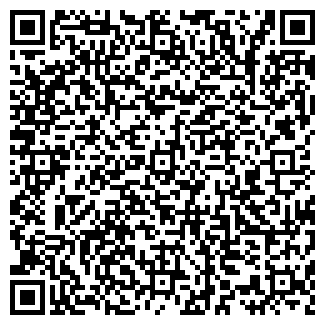 QR-код с контактной информацией организации БАКУЛИНА, ЧП