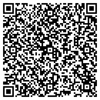 QR-код с контактной информацией организации АЙ-ТИ ЭС
