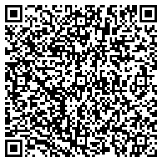 QR-код с контактной информацией организации Э-МОЛД, ООО