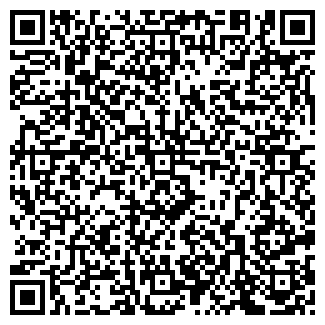 QR-код с контактной информацией организации БАСИН, ИП