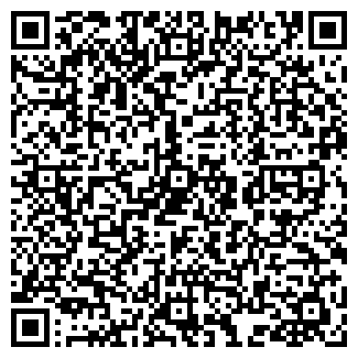 QR-код с контактной информацией организации НЕМДИНСКИЙ КОЛХОЗ