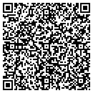 QR-код с контактной информацией организации BALDININI