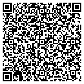 QR-код с контактной информацией организации СТЭЛС ООО