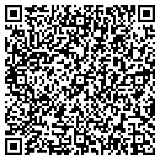 QR-код с контактной информацией организации ДИНАМИКА ООО