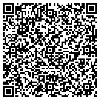 QR-код с контактной информацией организации БЛИЦ-А ООО