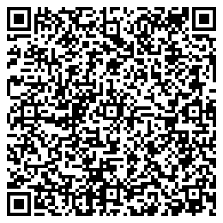 QR-код с контактной информацией организации MISTER WEB