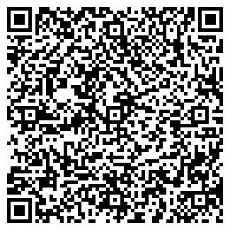 QR-код с контактной информацией организации АВТОСТОЛИЦА