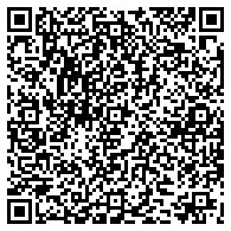 QR-код с контактной информацией организации ООО ВИКИНГ