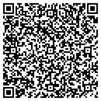 QR-код с контактной информацией организации ГЕОМИКС, ООО