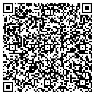QR-код с контактной информацией организации MERCURY