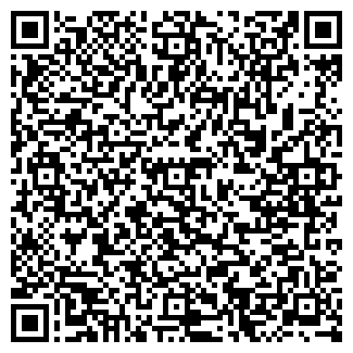 QR-код с контактной информацией организации ДИЛЕСТО ПК