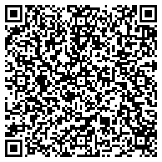 QR-код с контактной информацией организации ИП СЕРГЕЕВА