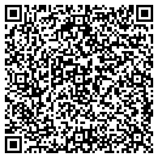 QR-код с контактной информацией организации ООО ГЕОРЕМБУРС-С