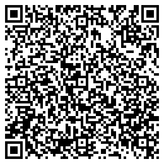 QR-код с контактной информацией организации АЙЗВИЛЛ, ООО