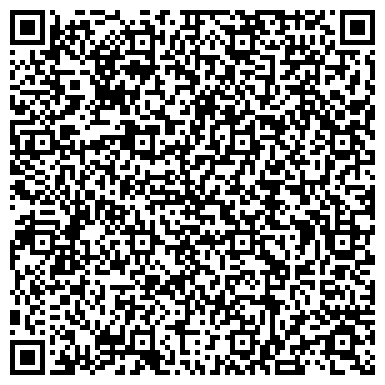QR-код с контактной информацией организации Театр имени Ленсовета