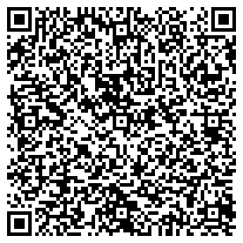QR-код с контактной информацией организации NIKOLAEV ECONSULTING