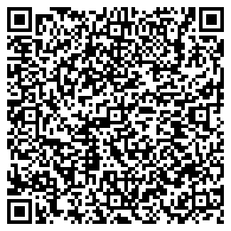 QR-код с контактной информацией организации «Деталь 29»