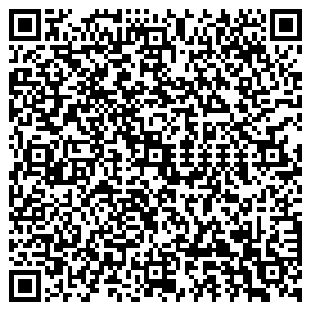 QR-код с контактной информацией организации ДСМ МЕХАНИКА