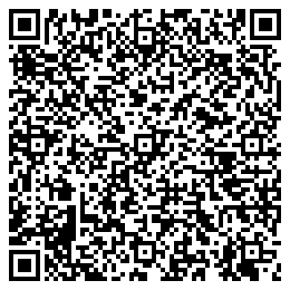 QR-код с контактной информацией организации ВФК, ООО