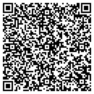 QR-код с контактной информацией организации СОЗВЕЗДИЕ