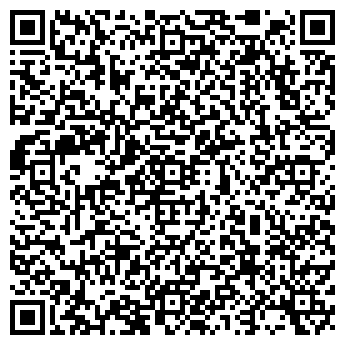 QR-код с контактной информацией организации ШЛИССЕЛЬБУРГСКАЯ ДХШ