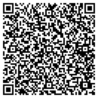 QR-код с контактной информацией организации ООО СИНЕВИР