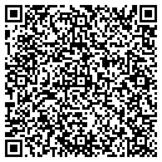 QR-код с контактной информацией организации СВЕТОПИСЬ, ООО